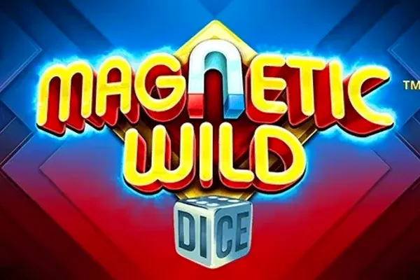 Magnetic Wild Dice